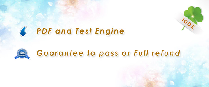 We offer PDF and Testing engine